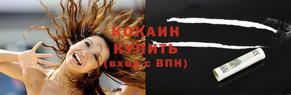 кокс Богородицк
