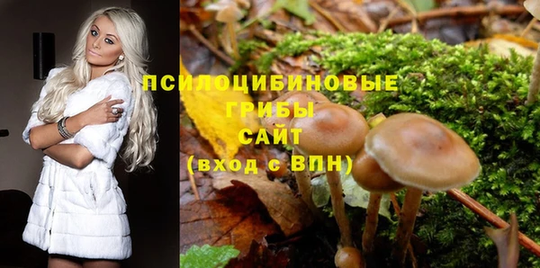сатива Богданович