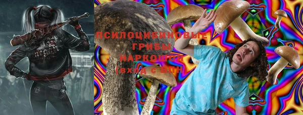 кокс Богородицк