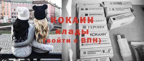 кокс Богородицк