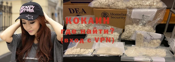 сатива Богданович